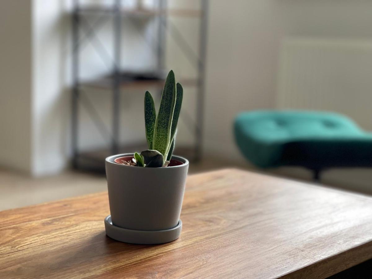 Modern * Zentral * Netflix * Arbeitsplatz Apartman Wuppertal Kültér fotó